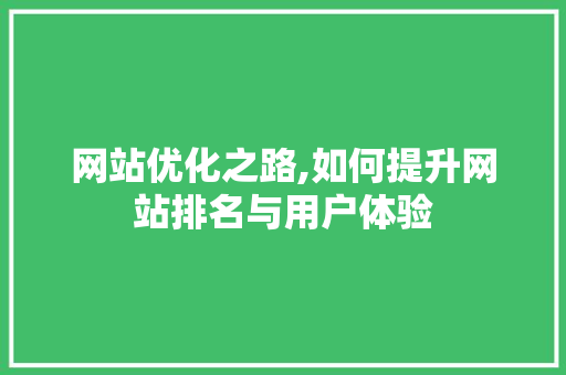 网站优化之路,如何提升网站排名与用户体验