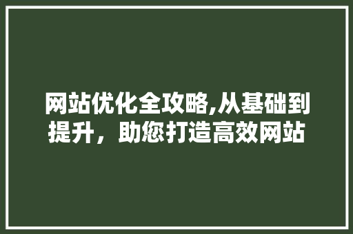 网站优化全攻略,从基础到提升，助您打造高效网站