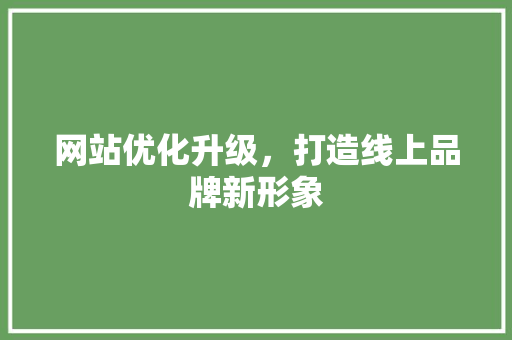 网站优化升级，打造线上品牌新形象