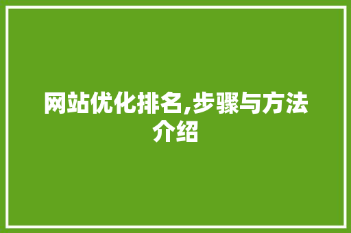 网站优化排名,步骤与方法介绍
