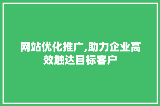 网站优化推广,助力企业高效触达目标客户