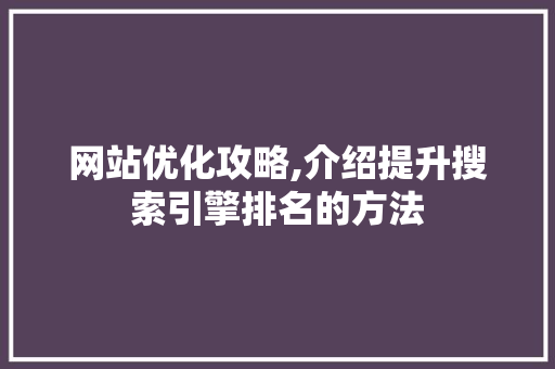 网站优化攻略,介绍提升搜索引擎排名的方法