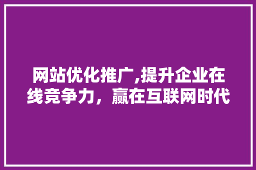 网站优化推广,提升企业在线竞争力，赢在互联网时代