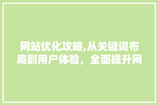 网站优化攻略,从关键词布局到用户体验，全面提升网站SEO效果