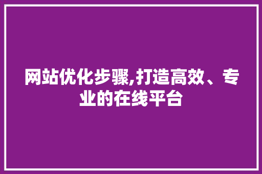 网站优化步骤,打造高效、专业的在线平台