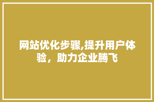 网站优化步骤,提升用户体验，助力企业腾飞
