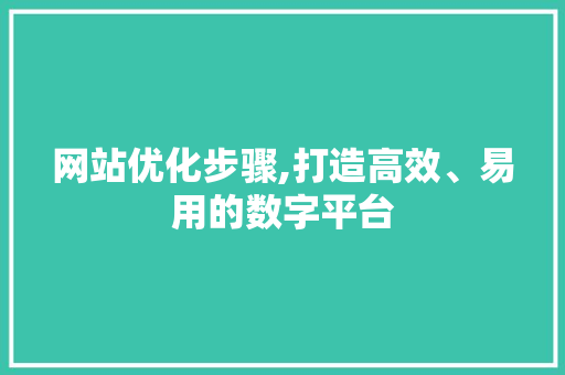 网站优化步骤,打造高效、易用的数字平台