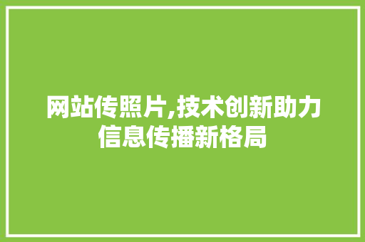 网站传照片,技术创新助力信息传播新格局