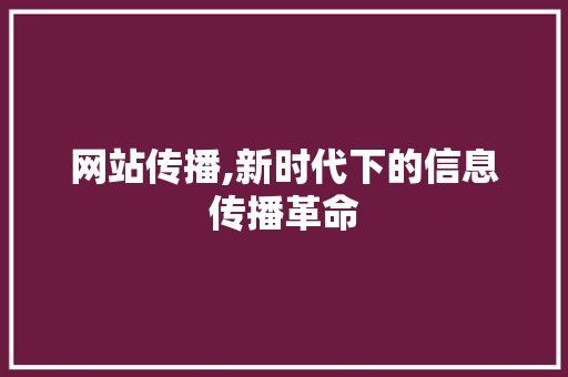 网站传播,新时代下的信息传播革命