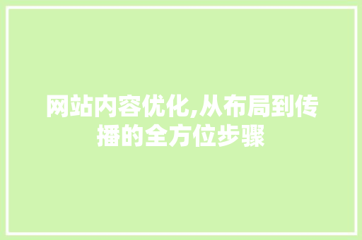 网站内容优化,从布局到传播的全方位步骤