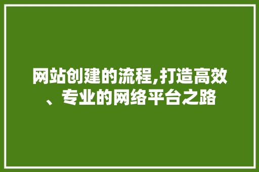 网站创建的流程,打造高效、专业的网络平台之路
