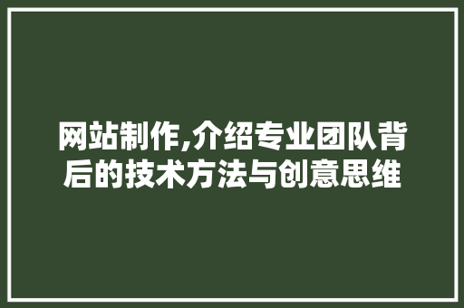 网站制作,介绍专业团队背后的技术方法与创意思维