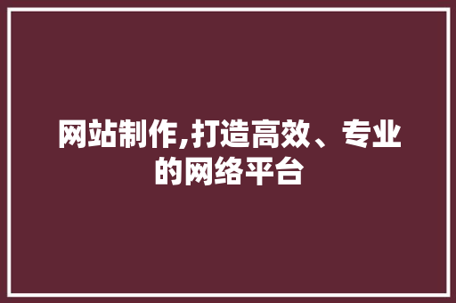 网站制作,打造高效、专业的网络平台