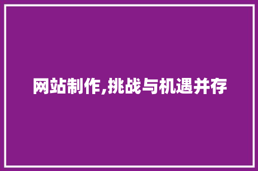 网站制作,挑战与机遇并存