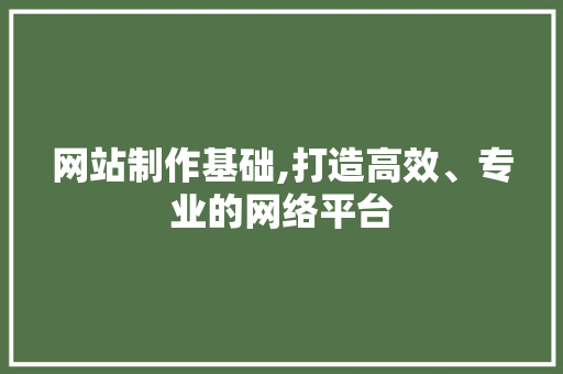 网站制作基础,打造高效、专业的网络平台