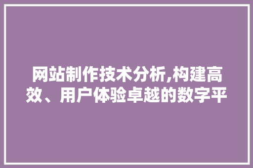 网站制作技术分析,构建高效、用户体验卓越的数字平台