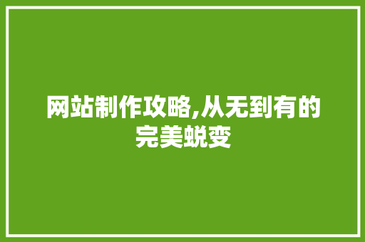 网站制作攻略,从无到有的完美蜕变