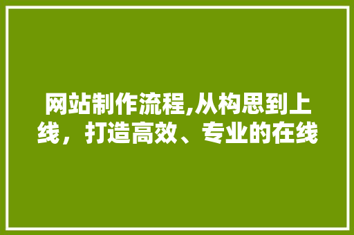网站制作流程,从构思到上线，打造高效、专业的在线平台