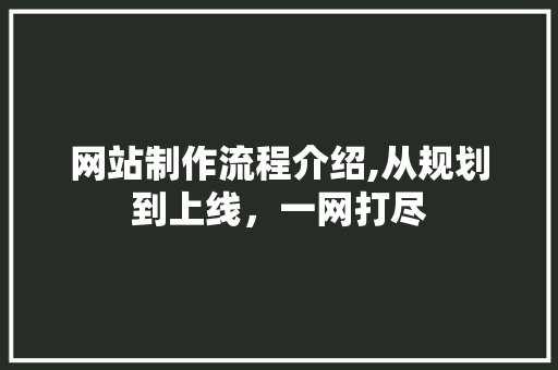 网站制作流程介绍,从规划到上线，一网打尽