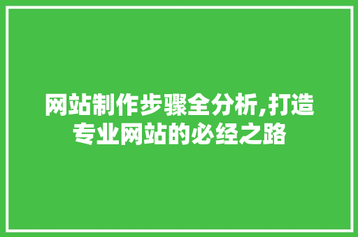 网站制作步骤全分析,打造专业网站的必经之路