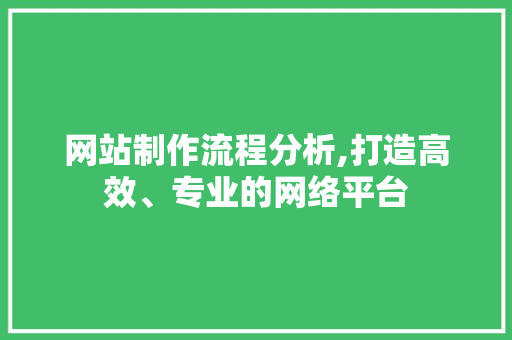 网站制作流程分析,打造高效、专业的网络平台