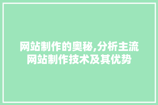 网站制作的奥秘,分析主流网站制作技术及其优势