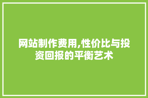 网站制作费用,性价比与投资回报的平衡艺术