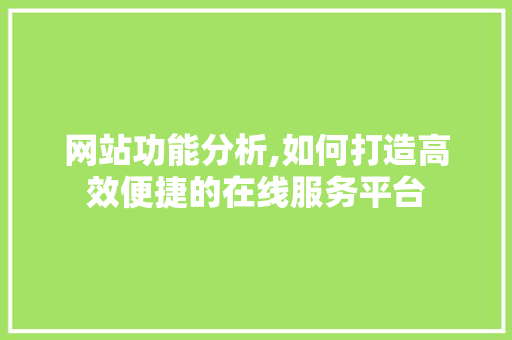 网站功能分析,如何打造高效便捷的在线服务平台