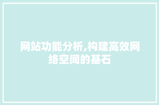 网站功能分析,构建高效网络空间的基石