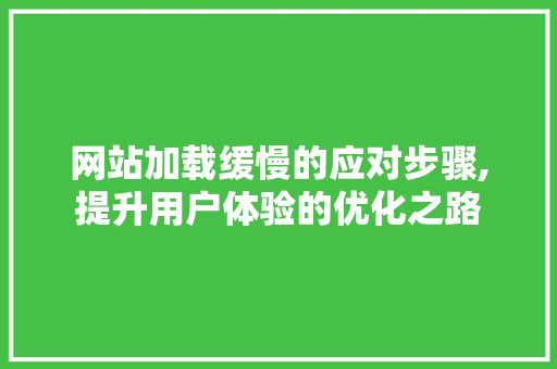 网站加载缓慢的应对步骤,提升用户体验的优化之路