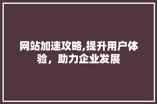 网站加速攻略,提升用户体验，助力企业发展