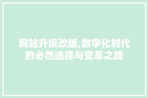 网站升级改版,数字化时代的必然选择与变革之路