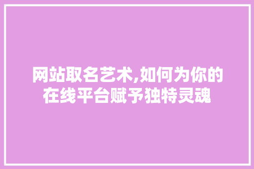 网站取名艺术,如何为你的在线平台赋予独特灵魂