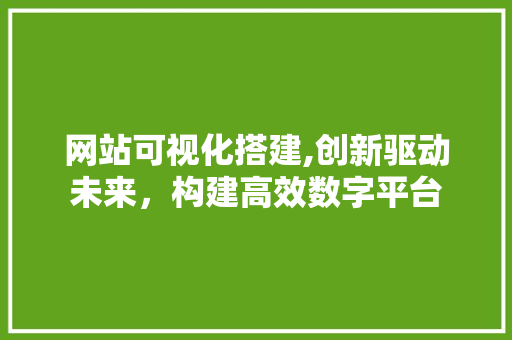 网站可视化搭建,创新驱动未来，构建高效数字平台 网站可视化搭建,创新驱动未来，构建高效数字平台 SEO关键词