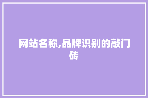 网站名称,品牌识别的敲门砖