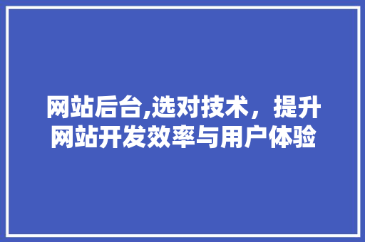 网站后台,选对技术，提升网站开发效率与用户体验