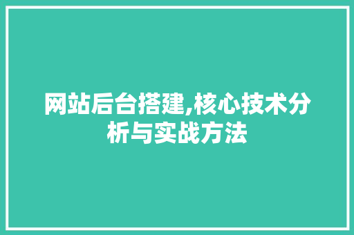 网站后台搭建,核心技术分析与实战方法