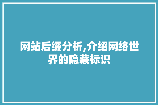 网站后缀分析,介绍网络世界的隐藏标识