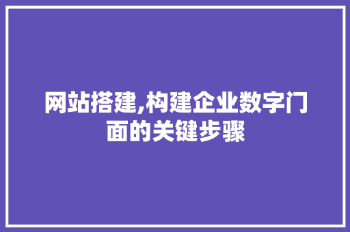 网站搭建,构建企业数字门面的关键步骤