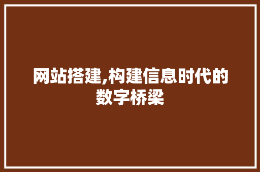 网站搭建,构建信息时代的数字桥梁