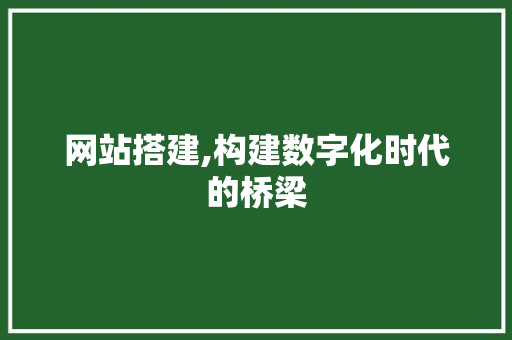 网站搭建,构建数字化时代的桥梁