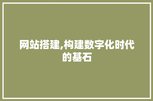 网站搭建,构建数字化时代的基石