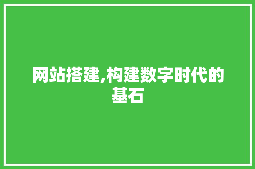 网站搭建,构建数字时代的基石 网站搭建,构建数字时代的基石 SEO关键词