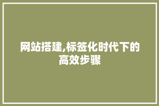 网站搭建,标签化时代下的高效步骤