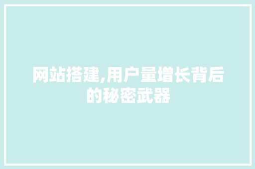网站搭建,用户量增长背后的秘密武器