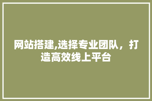 网站搭建,选择专业团队，打造高效线上平台