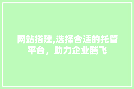 网站搭建,选择合适的托管平台，助力企业腾飞