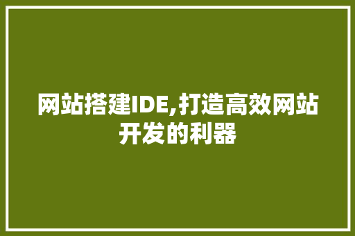 网站搭建IDE,打造高效网站开发的利器