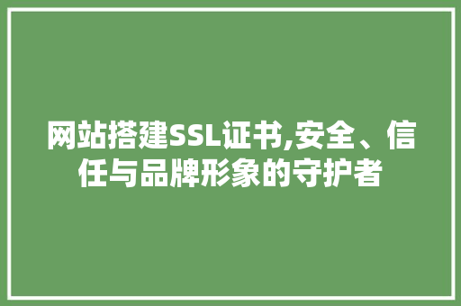网站搭建SSL证书,安全、信任与品牌形象的守护者 网站搭建SSL证书,安全、信任与品牌形象的守护者 SEO关键词
