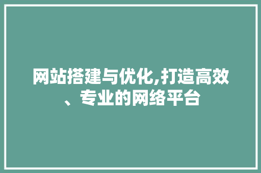 网站搭建与优化,打造高效、专业的网络平台